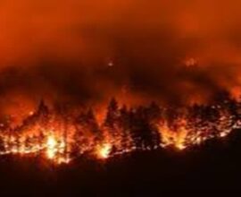 Chatgpt Image Snares Suspect in Deadly Pacific Palisades Fire. Source,BBC