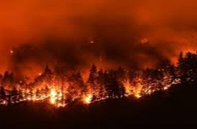 Chatgpt Image Snares Suspect in Deadly Pacific Palisades Fire. Source,BBC