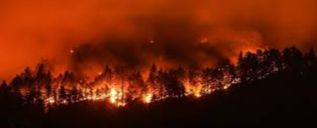 Chatgpt Image Snares Suspect in Deadly Pacific Palisades Fire. Source,BBC