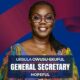 Ursula Owusu-Ekuful Declares Bid for Npp General Secretary Position Source:myjoyonline.com