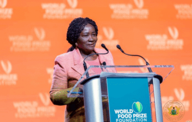 Vice President Champions Agricultural Transformation at Global Food Dialogue Source: myjoyonline.com