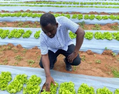 MTN Ghana Invests in Growing E-Sports Market