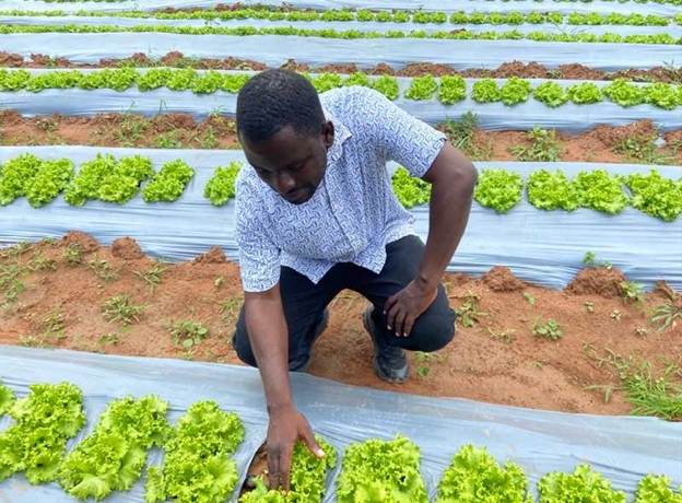 MTN Ghana Invests in Growing E-Sports Market