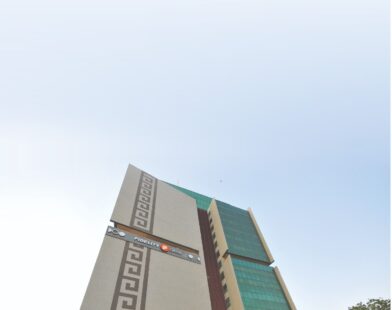 Ghana Grows the Tree But Buys the Oil. Fidelity Bank’s Research Shows Why That Has to Change.