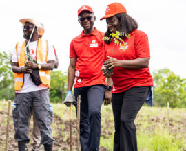 Telecel Ghana Plants 10,000 Trees, Pushing Reforestation Total to 43,000 Trees